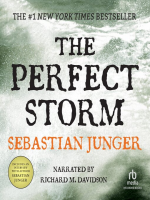 The_Perfect_Storm